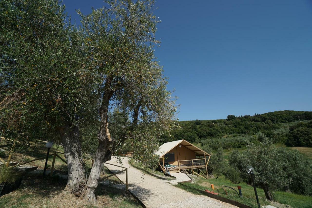 Podere Cortesi Agriturismo Molinaccio Santa Luce Kültér fotó