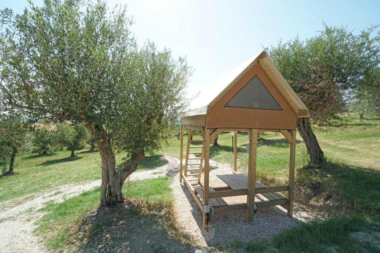 Podere Cortesi Agriturismo Molinaccio Santa Luce Kültér fotó